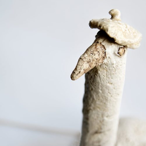 IMG-20250227-WA0002
